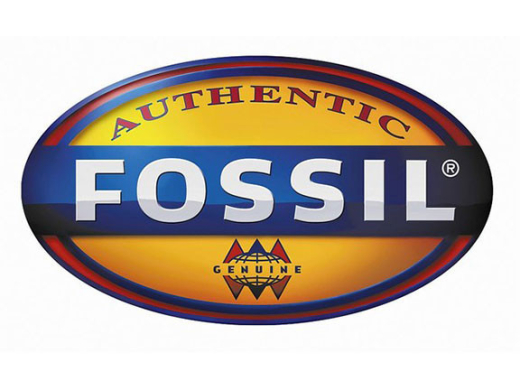 Fossil